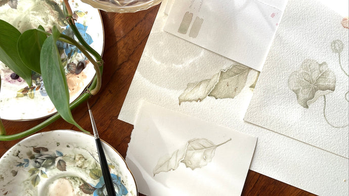 Antique Botanical Watercolour Course