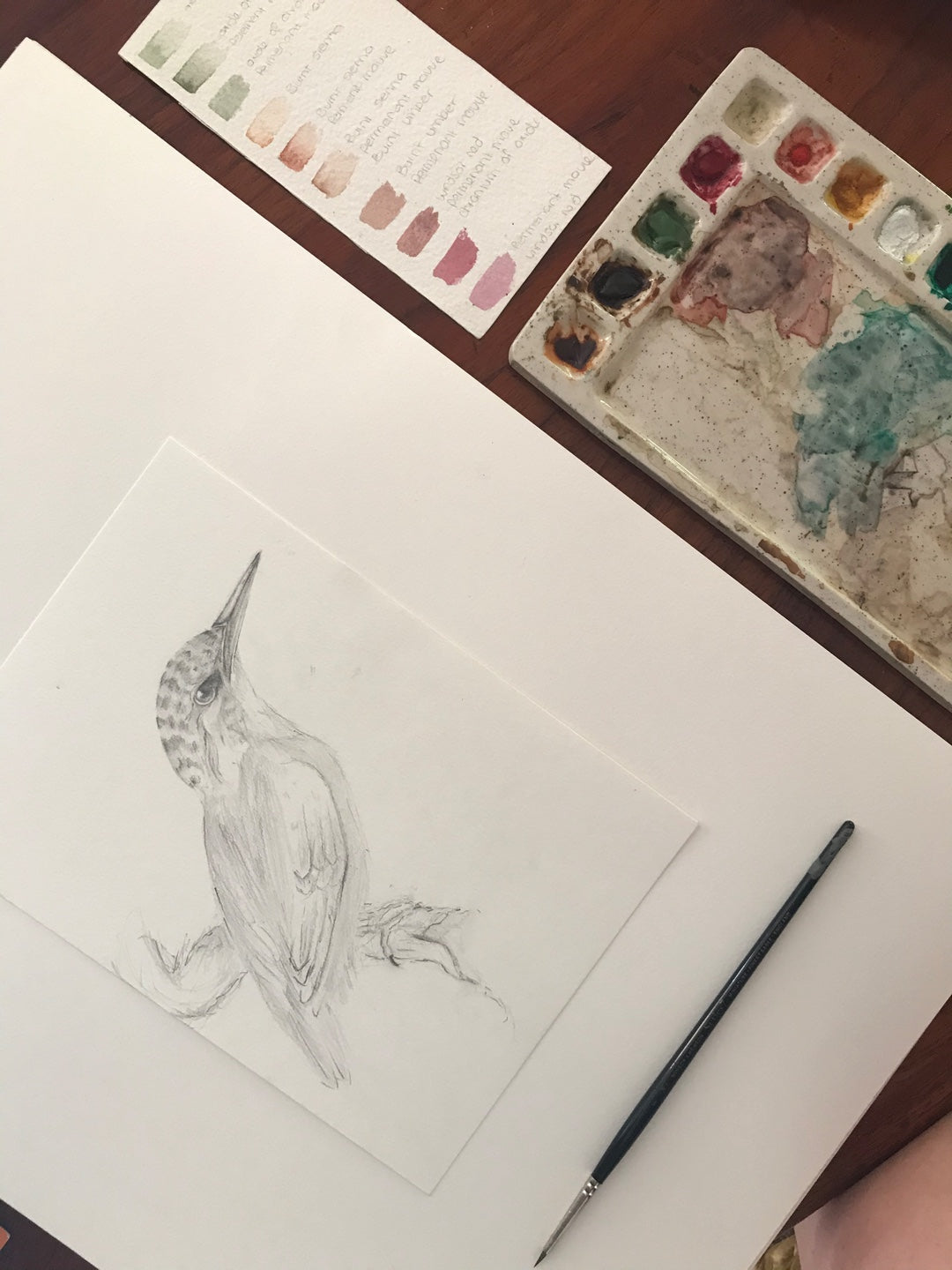 Watercolour Kingfisher | Silent Vlog | ASMR