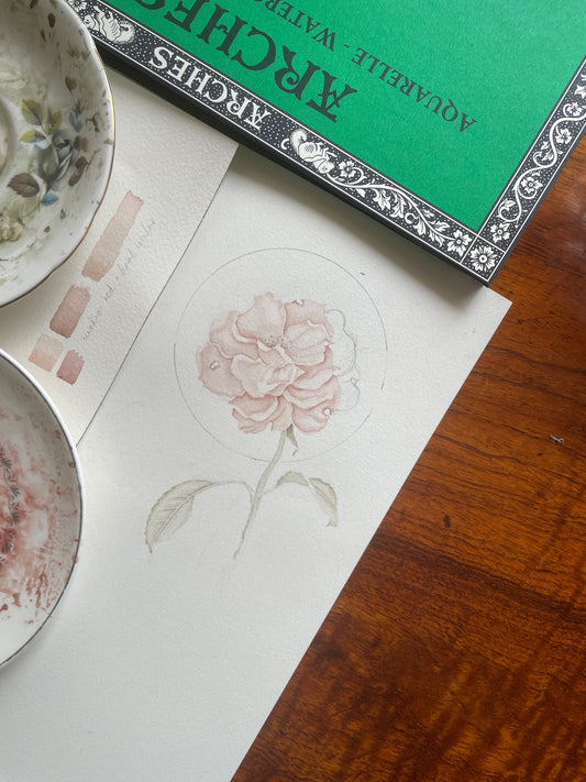 COZY PAINT WITH ME || 1 hour antique wild rose watercolour with relaxing music